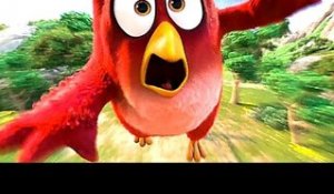 ANGRY BIRDS : Nouvelle BANDE ANNONCE (VF et VOST)