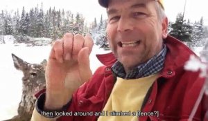 Cet homme sourd fait un acte incroyable, pour sauver une biche dans un lac glacé