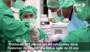 Thaïlande: une tortue opérée après avoir avalé 915 pièces