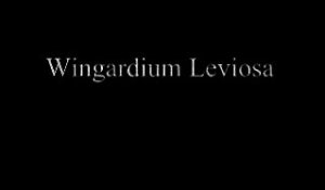Hermione Granger : Wingardium Leviosa - Harry Potter