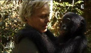 Très forte émotion de Muriel Robin en rencontrant le bonobo dont elle va devoir s'occuper - Regardez