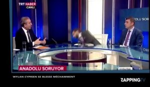 Un journaliste turque s’évanouit en direct pendant une émission (Vidéo)