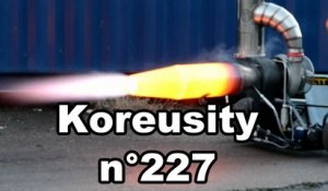 Koreusity n°227