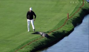 Ce golfeur vire un alligator du green... meme pas peur le gars! Thug life