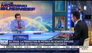 Pétrole de schiste: "On est sur une croissance de un million de barils par jour à fin 2017 ", Alexandre Andlauer – 22/03