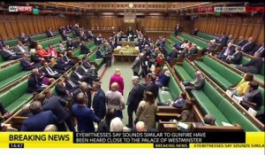 Deux personnes atteintes par des tirs devant le Parlement britannique à Londres - la séance suspendue