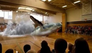 Une baleine débarque en pleine salle de Gym dans une école