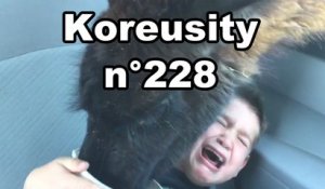 Koreusity n°228