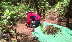 Colombie: vaste opération de déminage à Vista Hermosa