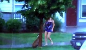 Un chien abandonné sous une tempête sauvée par une jeune femme !
