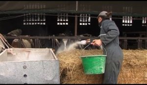EMPLOI/ Pénurie de main d'oeuvre agricole en Touraine