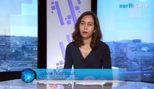 Sylvie Montout, Pourquoi la France est très attractive pour les investisseurs étrangers