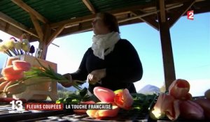 Fleurs coupées : une exploitation bio en Isère