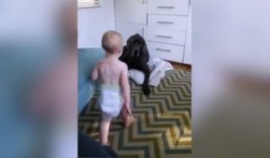 Un bébé vole la place de son chien !