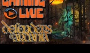 GAMING LIVE PC - Defenders of Ardania - Des tours et des détours - Jeuxvideo.com
