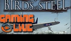 GAMING LIVE PS3 - Birds of Steel - A l'assaut des forces japonaises - Jeuxvideo.com
