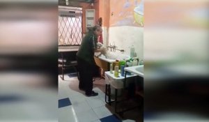 Ce toiletteur adore son boulot... Regardez le danser avec son chien