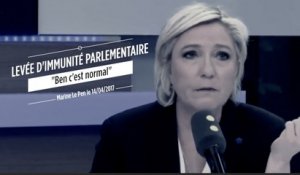 Levée de l'immunité de Le Pen : "C'est normal"