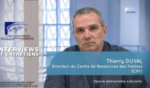 Questions à Thierry DUVAL (CRY) - Démocratie culturelle - cese