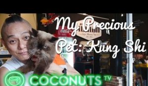 Kung Shi, the fat cat | My Precious Pet Episode 3 | Coconuts TV