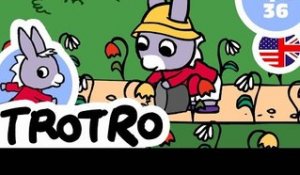 TROTRO - EP36 - Trotro waters the garden