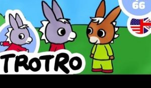 TROTRO - EP66 - Trotro and the race