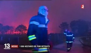 Incendies : 1 000 hectares de pins détruits dans le Médoc