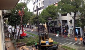 A Draguignan, tous les arbres du boulevard Clemenceau sont abattus