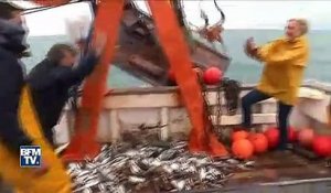 Gilbert Collard lance un poulpe à Marine Le Pen sur un bateau de pêche