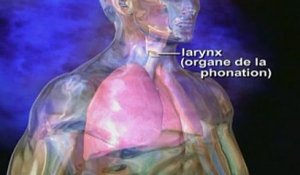 La laryngite expliquée en vidéo