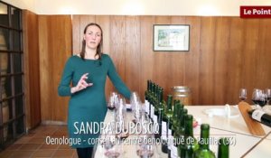 Les métiers du vin #1 : l’œnologue-conseil