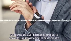 La nouvelle Poodle watch « Time Modulation » - Les Fausses Pubs