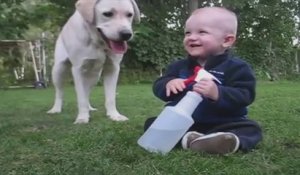 Se bébé est plié de rire en jouant avec son chien... Adorable