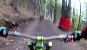 Deux cyclistes VTT ont croisé un ours brun dans la forêt en pleine descente