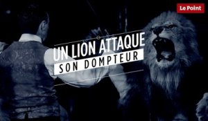 Un lion attaque son dompteur