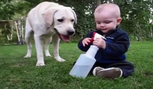 Hilarante scène entre ce bébé et ce chien