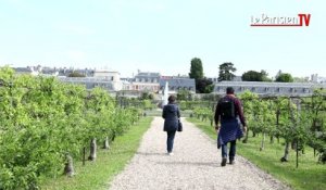 Visitez le Potager du Roi du Château de Versailles.