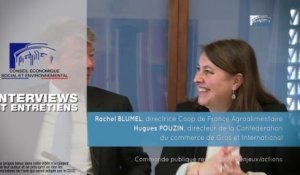 Questions à Rachel BLUMEL et Hugues POUZIN - Commande publique - cese