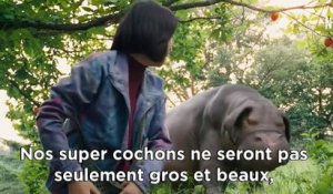 Okja : première bande-annonce du nouveau film de Bong Joon Ho
