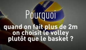 Volley - TQCM - Bleus : Les pourquoi du volley-ball