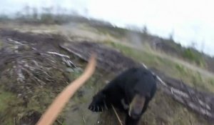 Un chasseur à l'arc chargé par un ours (Ontario)
