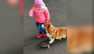 Un chien fait du skateboard avec sa petite propriétaire !