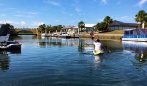 Un kangourou coincé dans un canal sauvé par L'Unité de Secours en Australie