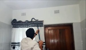 Il trouve un énorme serpent sur sa tringle à rideau