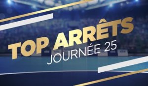 LIDL STARLIGUE 16-17 Top Arrêts J25