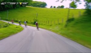 La FDJ à l'avant pour rentrer sur l'échappée / FDJ at the front to catch the breakaway - Etape 3 / Stage 3 - Critérium du Dauphiné 2017