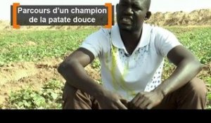 Sénégal : Parcours d'un champion de la patate douce