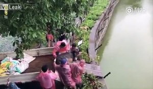 L'horreur dans un zoo chinois: un âne a été volontairement jeté dans l'enclos des tigres