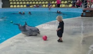 Un enfant joue au ballon avec un dauphin