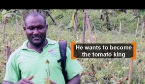 Cameroon: He wants to become the tomato king